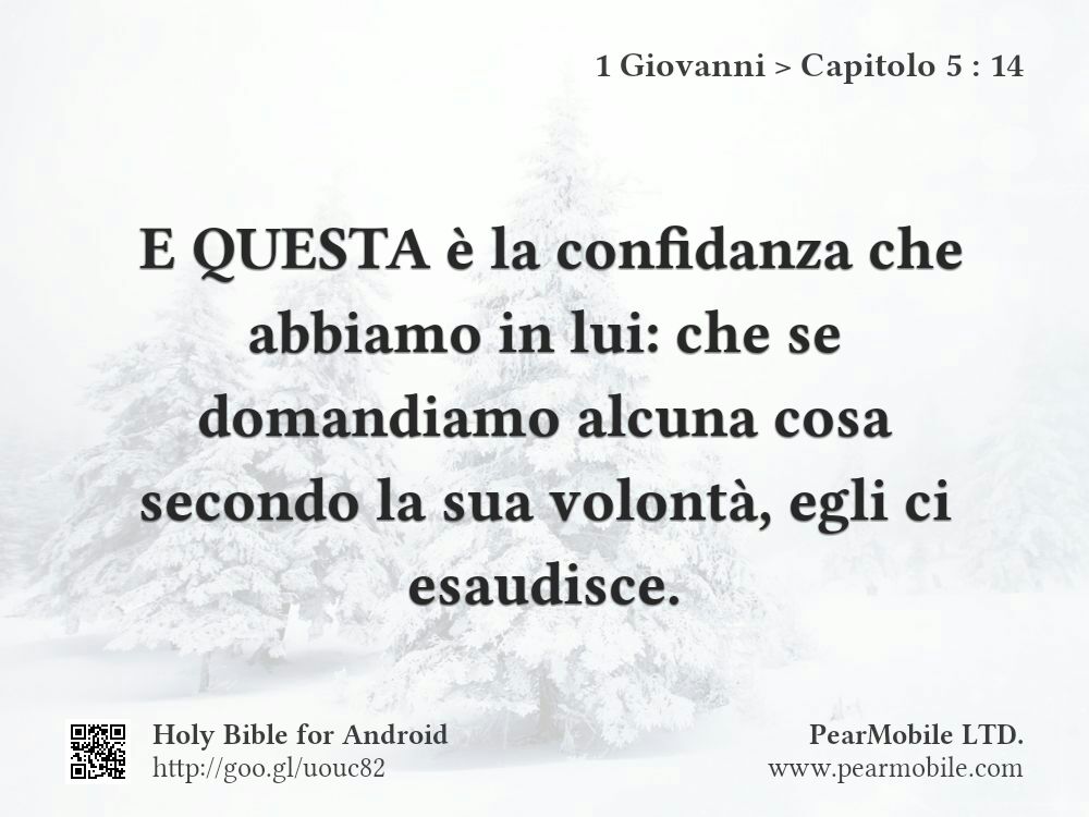 1 Giovanni, Capitolo 5:14
